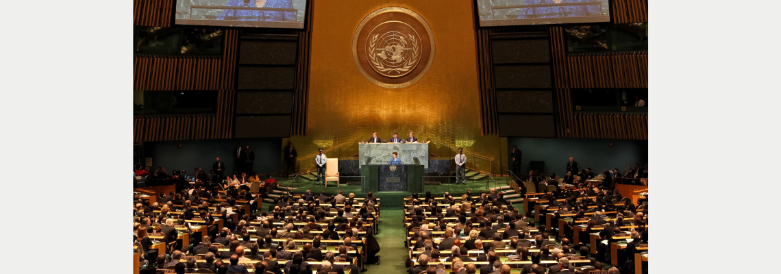 UN General Assembly